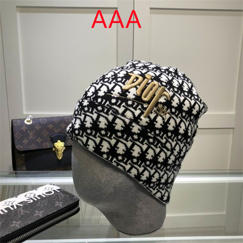 Dior Beanies(AAA)-048