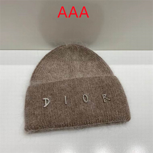 Dior Beanies(AAA)-006