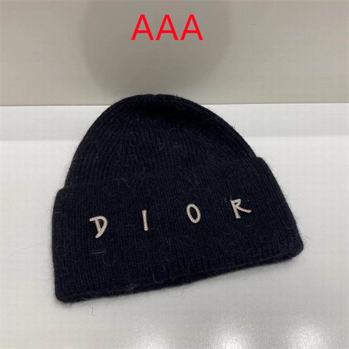 Dior Beanies(AAA)-008