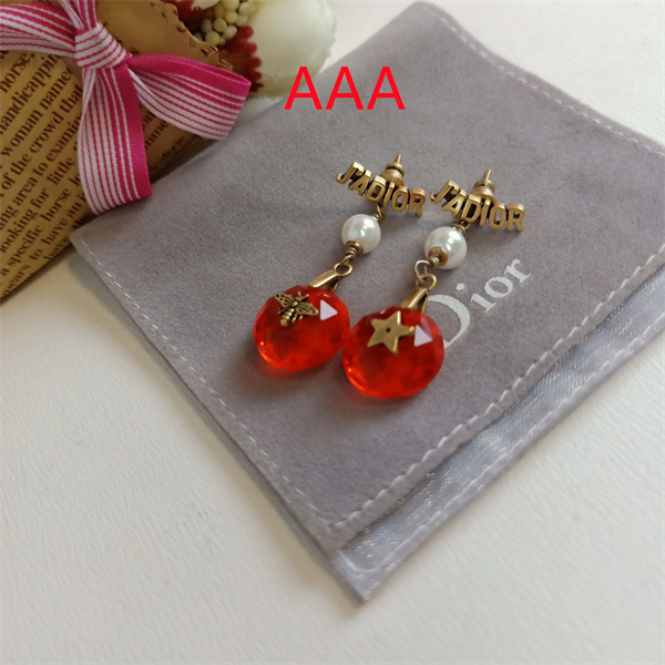 Dior Earrings-010