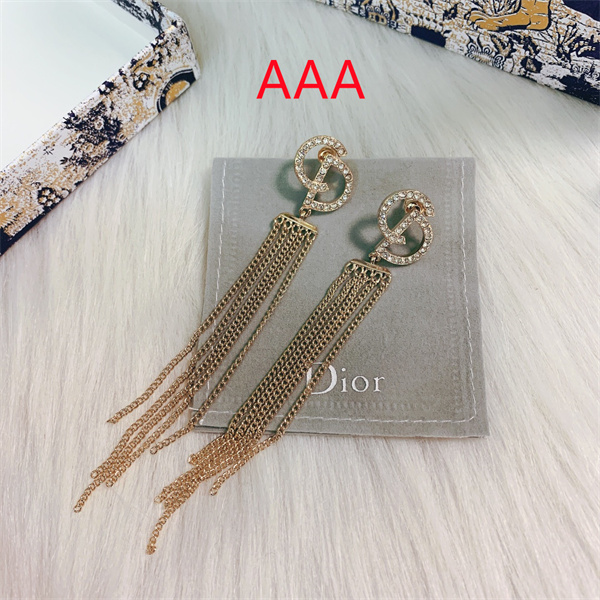 Dior Earrings-100