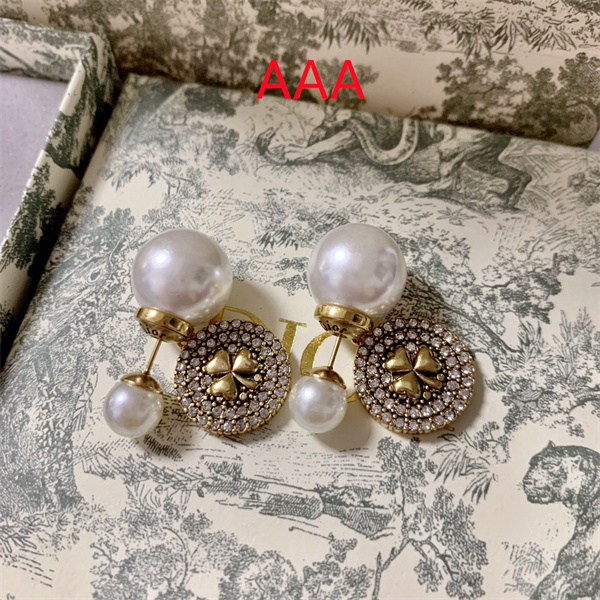 Dior Earrings-107