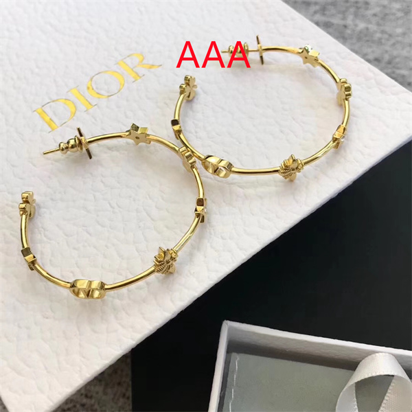 Dior Earrings-011