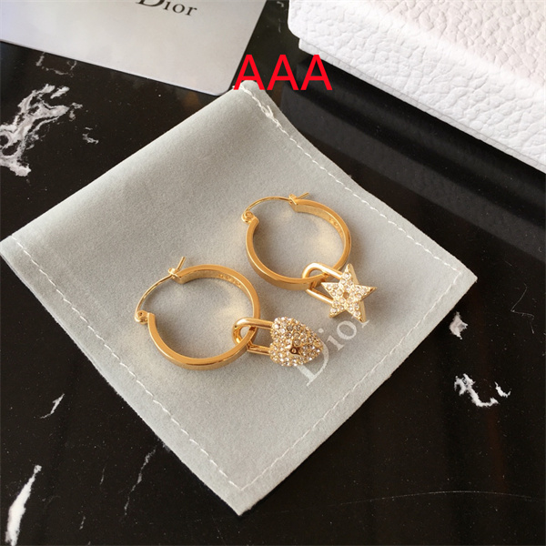 Dior Earrings-114