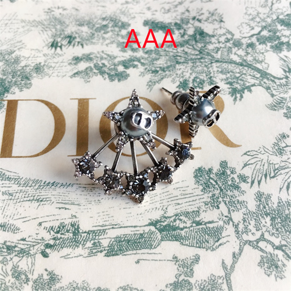 Dior Earrings-121