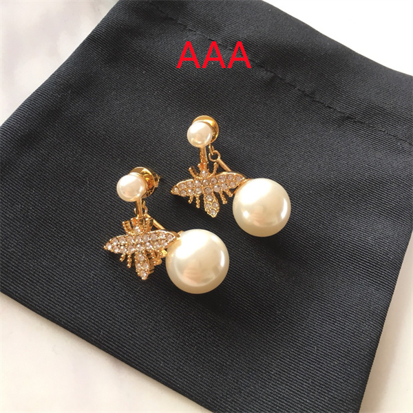 Dior Earrings-130