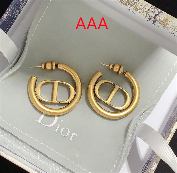 Dior Earrings-139