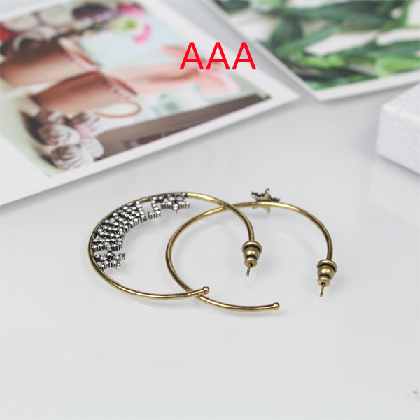 Dior Earrings-014
