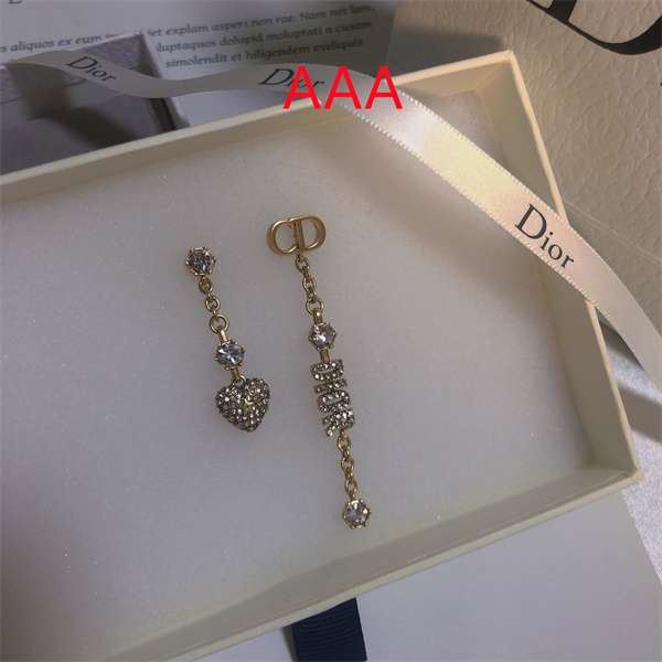 Dior Earrings-141