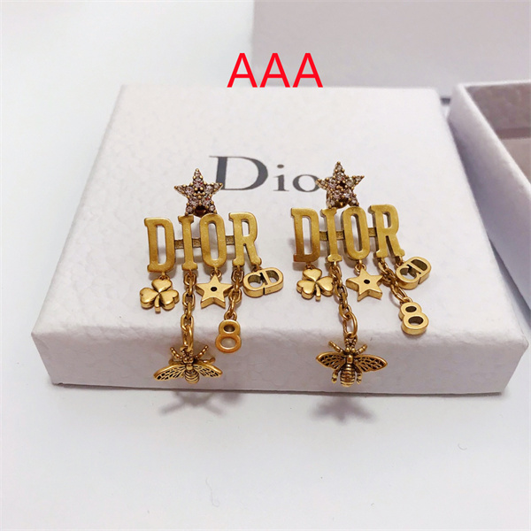 Dior Earrings-142