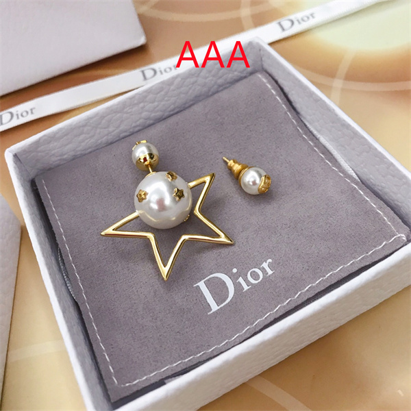 Dior Earrings-145