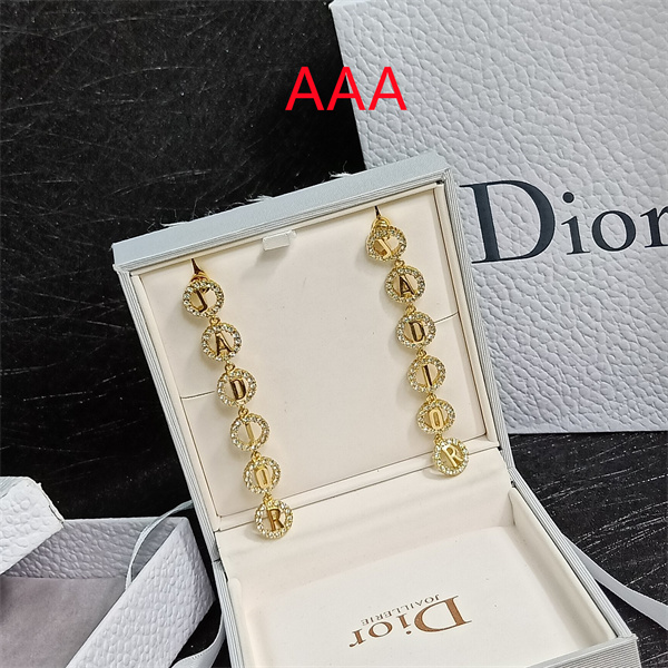 Dior Earrings-149