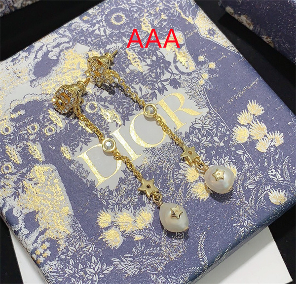 Dior Earrings-152