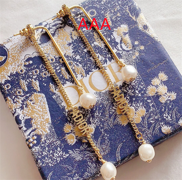 Dior Earrings-155