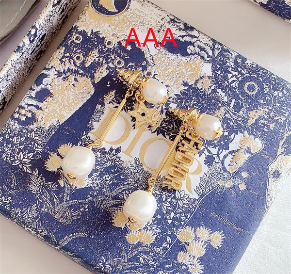 Dior Earrings-158