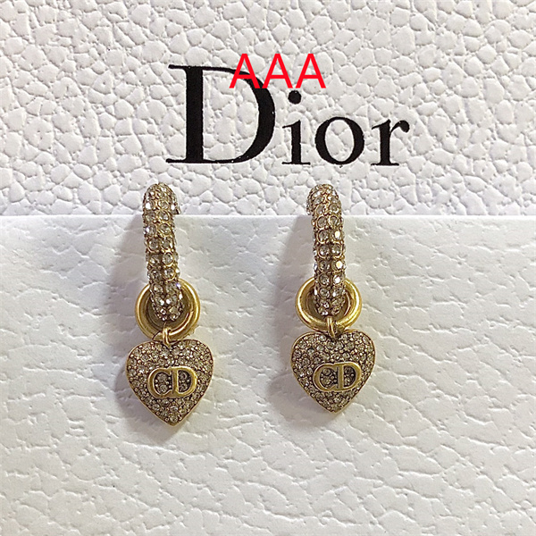 Dior Earrings-161