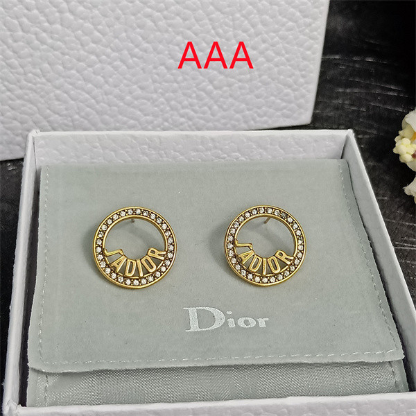 Dior Earrings-163
