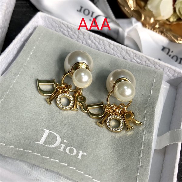Dior Earrings-166