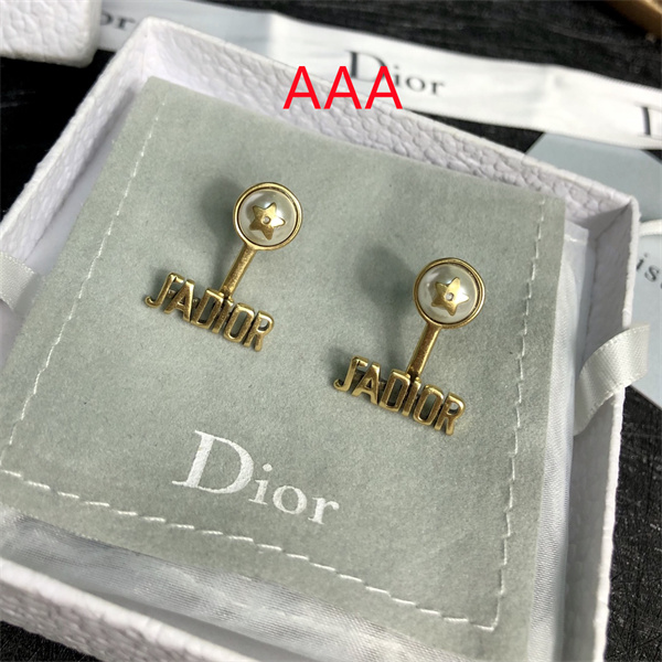 Dior Earrings-168