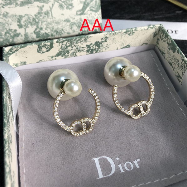 Dior Earrings-169