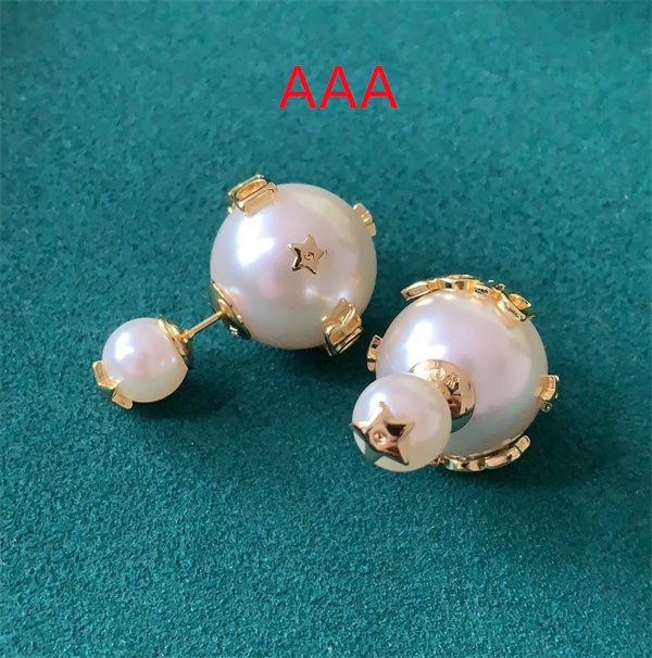 Dior Earrings-181