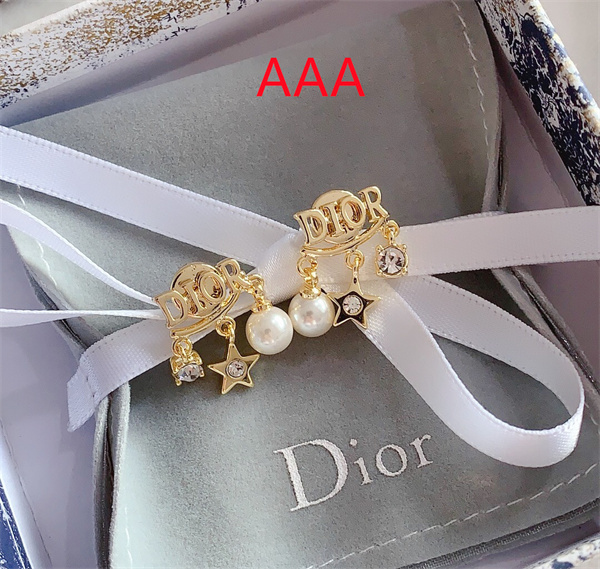 Dior Earrings-183