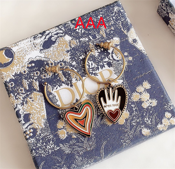 Dior Earrings-189