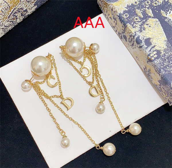 Dior Earrings-192