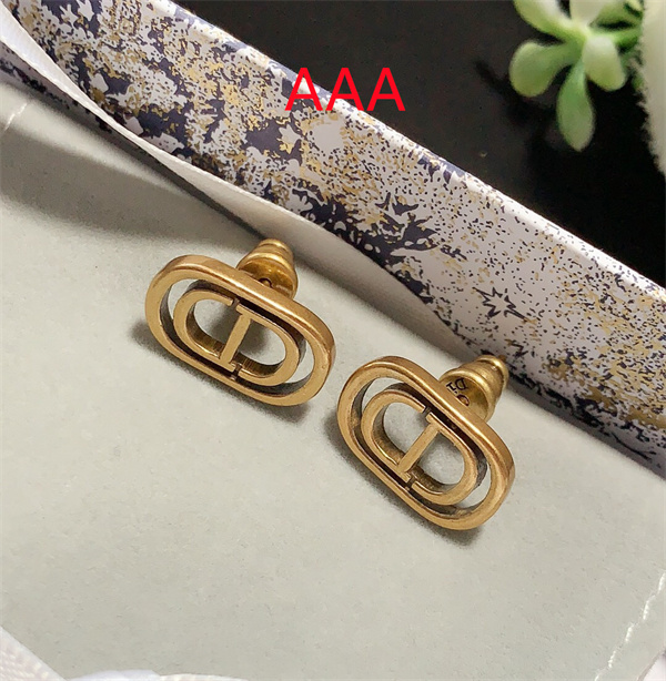 Dior Earrings-198