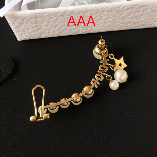 Dior Earrings-020