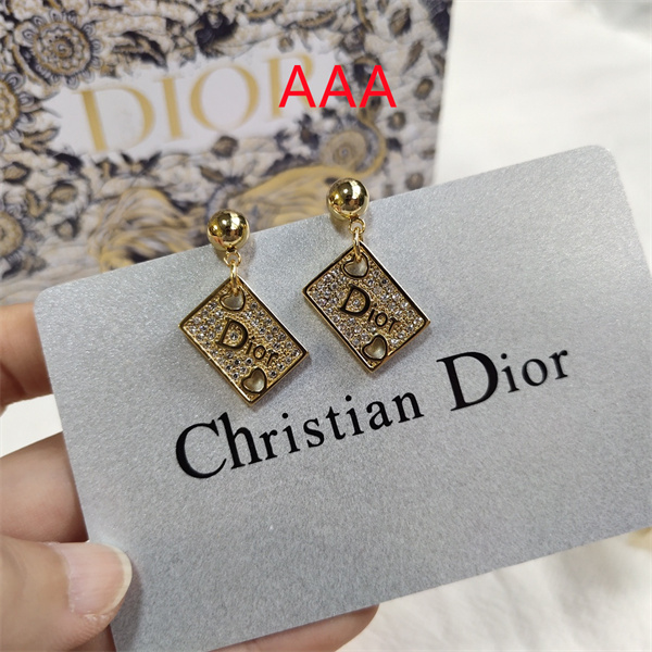 Dior Earrings-202