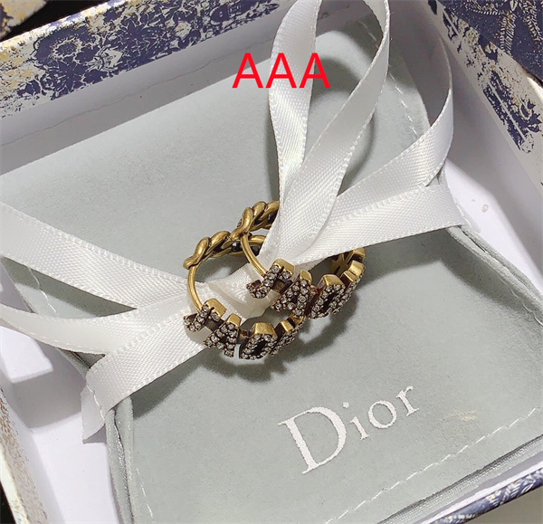 Dior Earrings-206