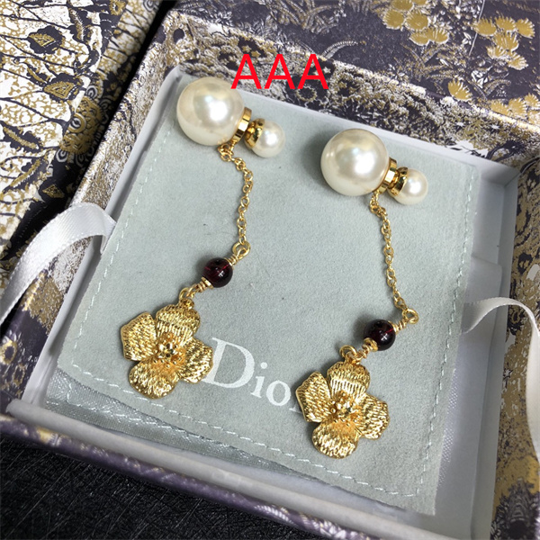 Dior Earrings-213