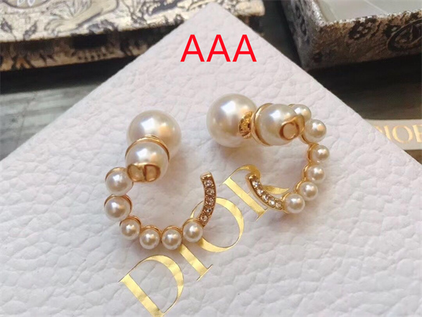 Dior Earrings-216
