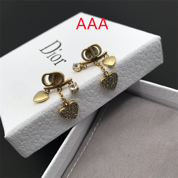 Dior Earrings-223