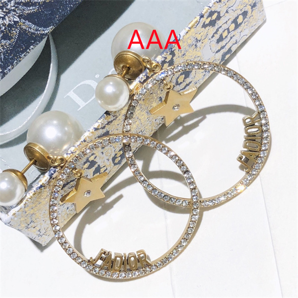 Dior Earrings-226