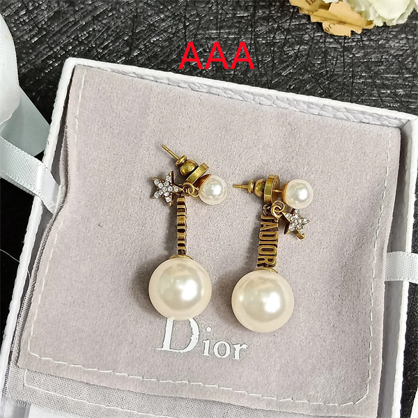 Dior Earrings-227