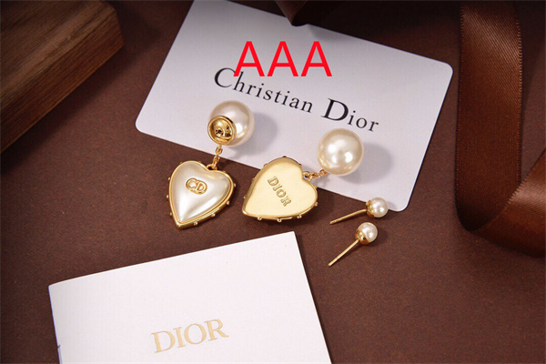 Dior Earrings-234