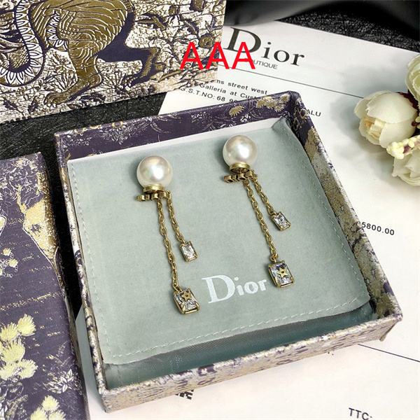 Dior Earrings-237