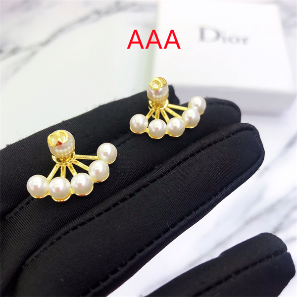 Dior Earrings-024