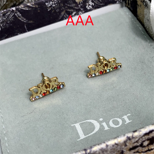 Dior Earrings-241