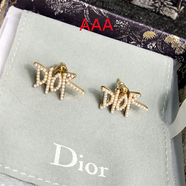 Dior Earrings-243
