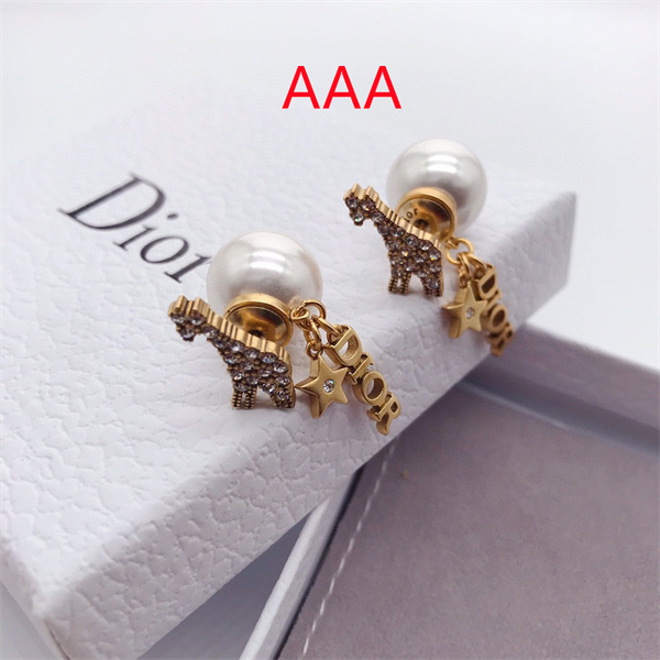 Dior Earrings-245