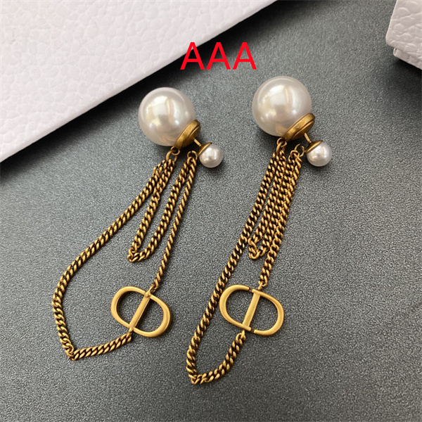 Dior Earrings-251