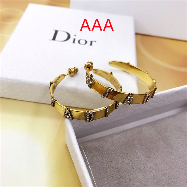 Dior Earrings-026