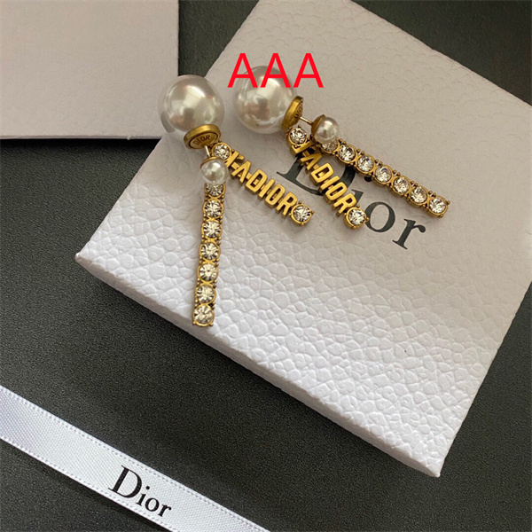 Dior Earrings-263