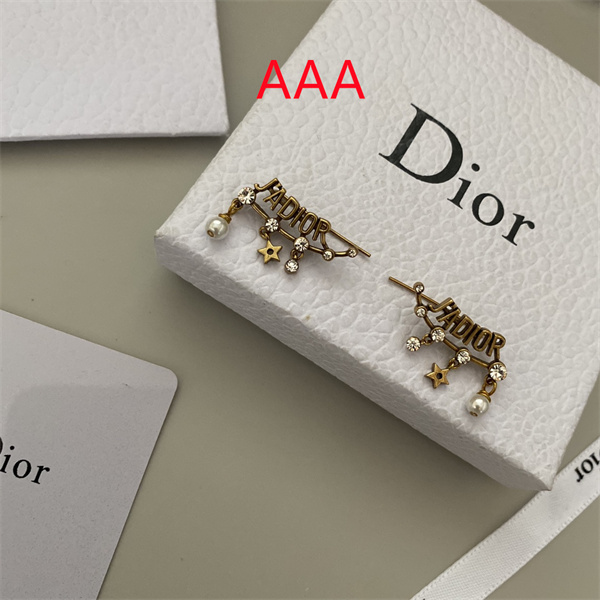 Dior Earrings-264