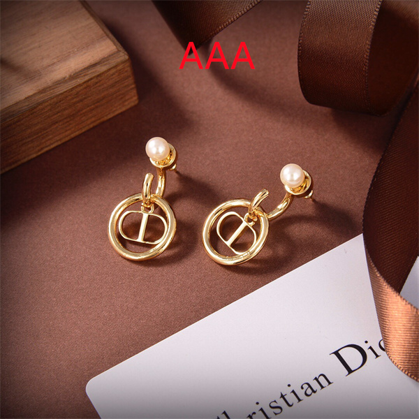 Dior Earrings-267