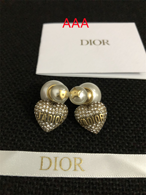 Dior Earrings-027
