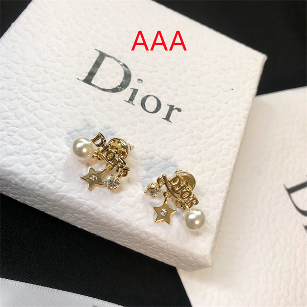Dior Earrings-286